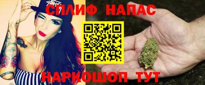 гидра Гусев