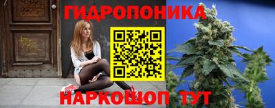 гидра Гусев