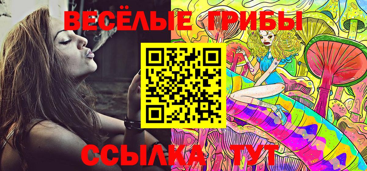 Коломна  Псилоцибиновые грибы ЛСД  Вход с VPN 