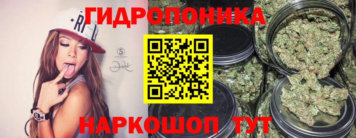 Каннабис Amnesia  Каннабис планчик  Коломна  Вход с VPN  Каннабис тримм 